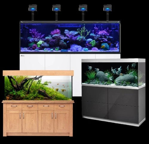 Tank and Cabinets