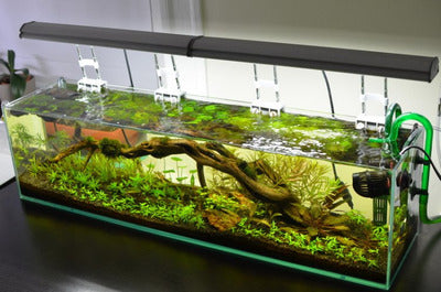 Mr Aqua - 3FT 'Book Shelf' Glass Tank