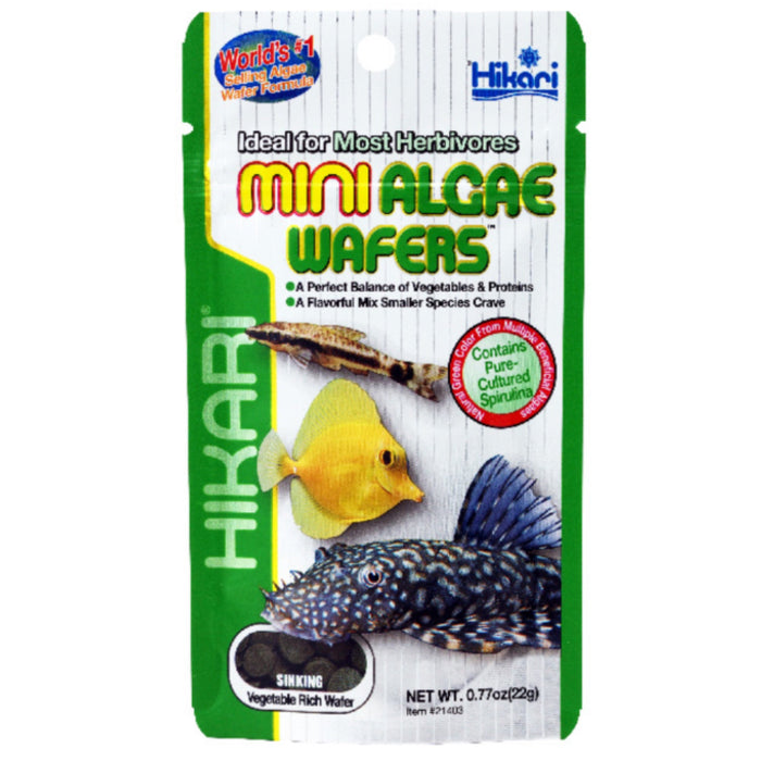 Hikari Mini Algae Wafers 1kg