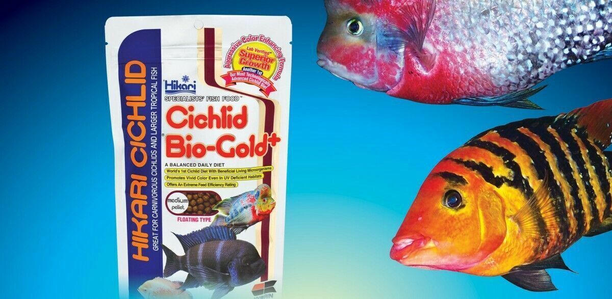 Hikari - Cichlid Bio-Gold+