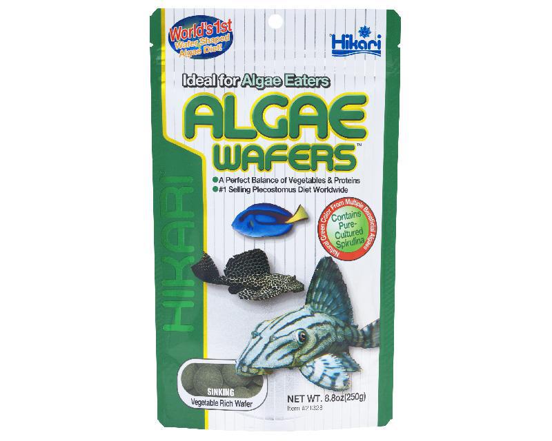 Hikari - Algae Wafers