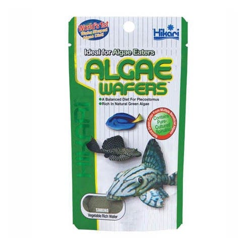 Hikari - Algae Wafers