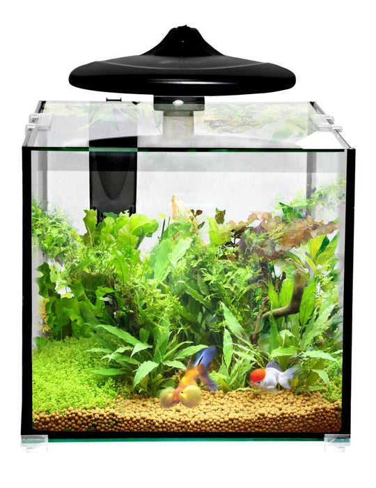 Clear cube aquarium (LED light, 32L)