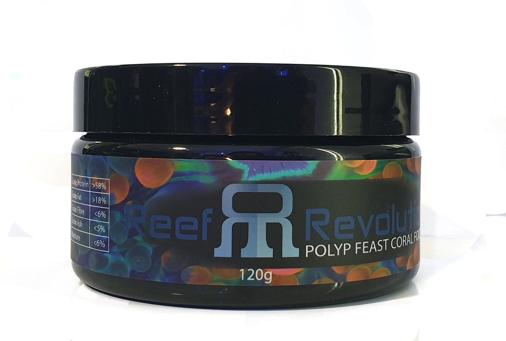 Maximizing Polyp Growth Reef Aquariums photo